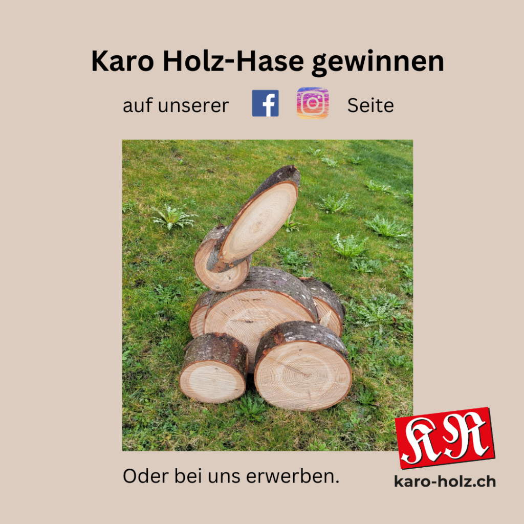 Karo Holz-Hase_W