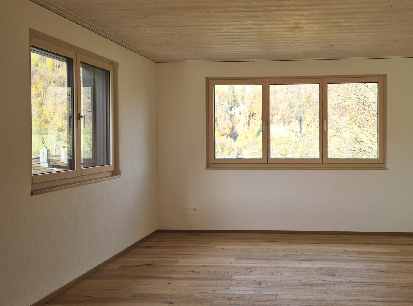 Fenster
